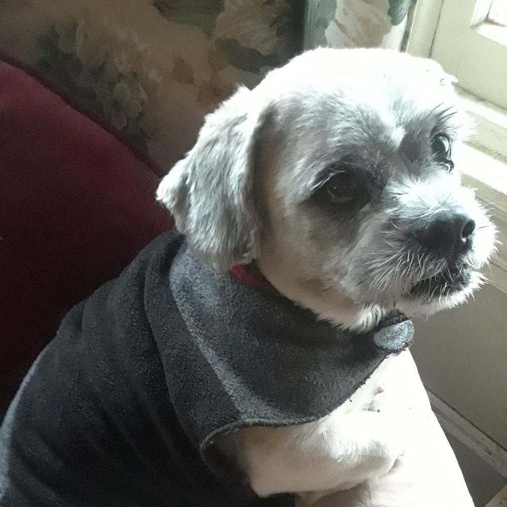 Meet your Posher, Maryanne